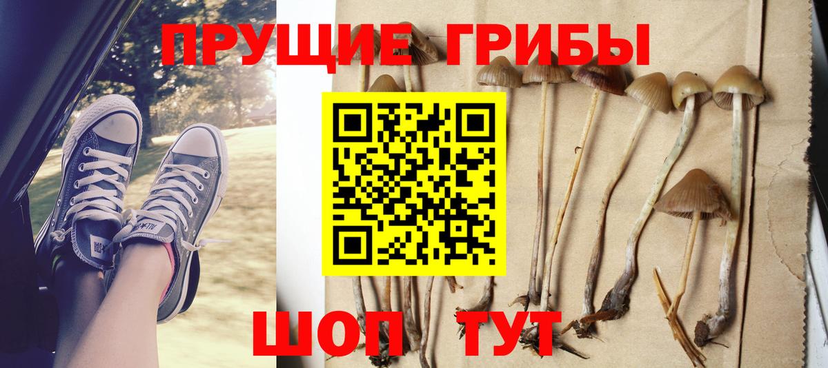 Галлюциногенные грибы Psilocybine cubensis  Вход с VPN  цена   Краснодар 